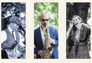 Live Wedding Party  (Smooth Cover) - ANIMAREA Trio